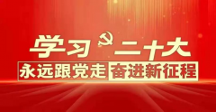 學(xué)習黨的二十大精神——團干部培訓班